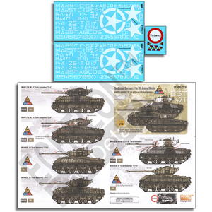 Echelon 1/16 Sandbagged Shermans of the 14th Armored Division D166219