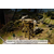 Heng Long Art Series 1/16 Battlefield Scenery Watchtower Kit for RC Tank A1001